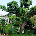 Nika * Segotici