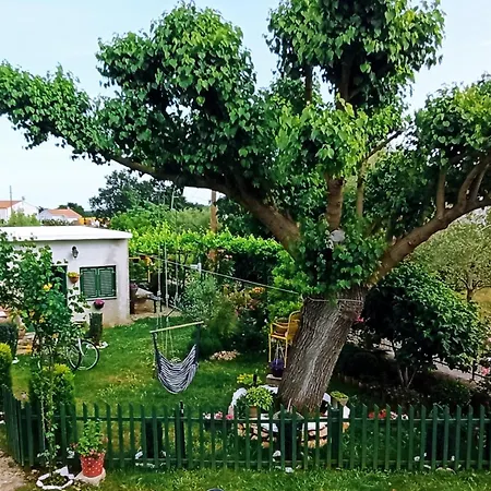 Nika * Segotici
